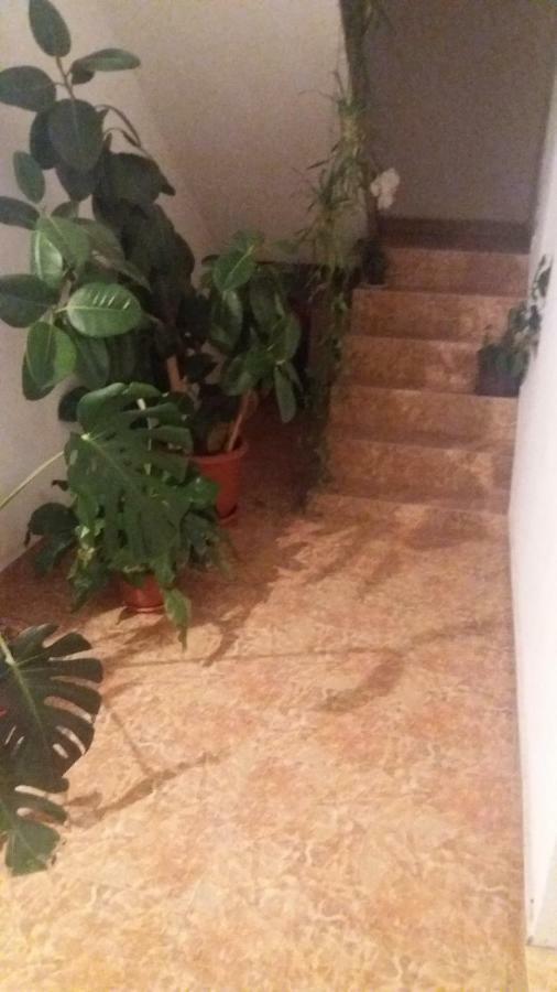 Pensiunea Miesca Matisesti Εξωτερικό φωτογραφία